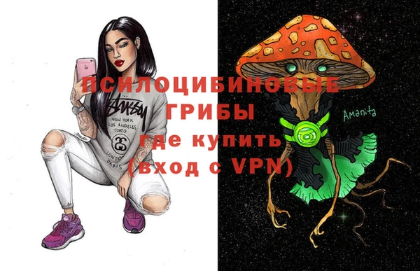 прущие крисы Алексеевка