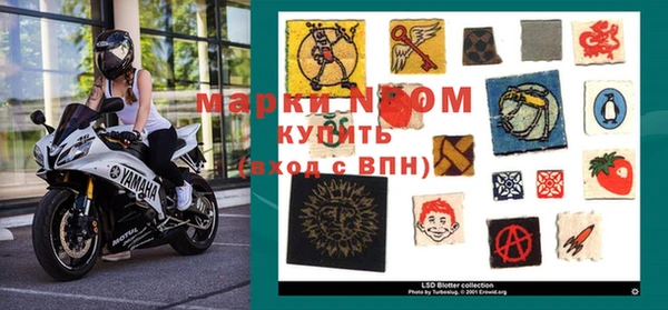 сатива Абинск
