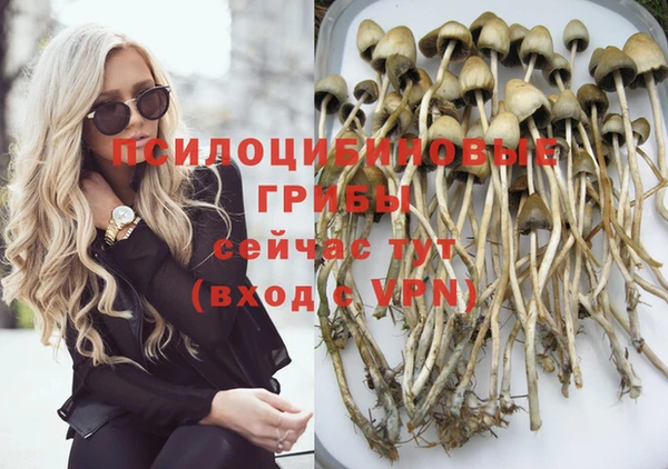 сатива Абинск